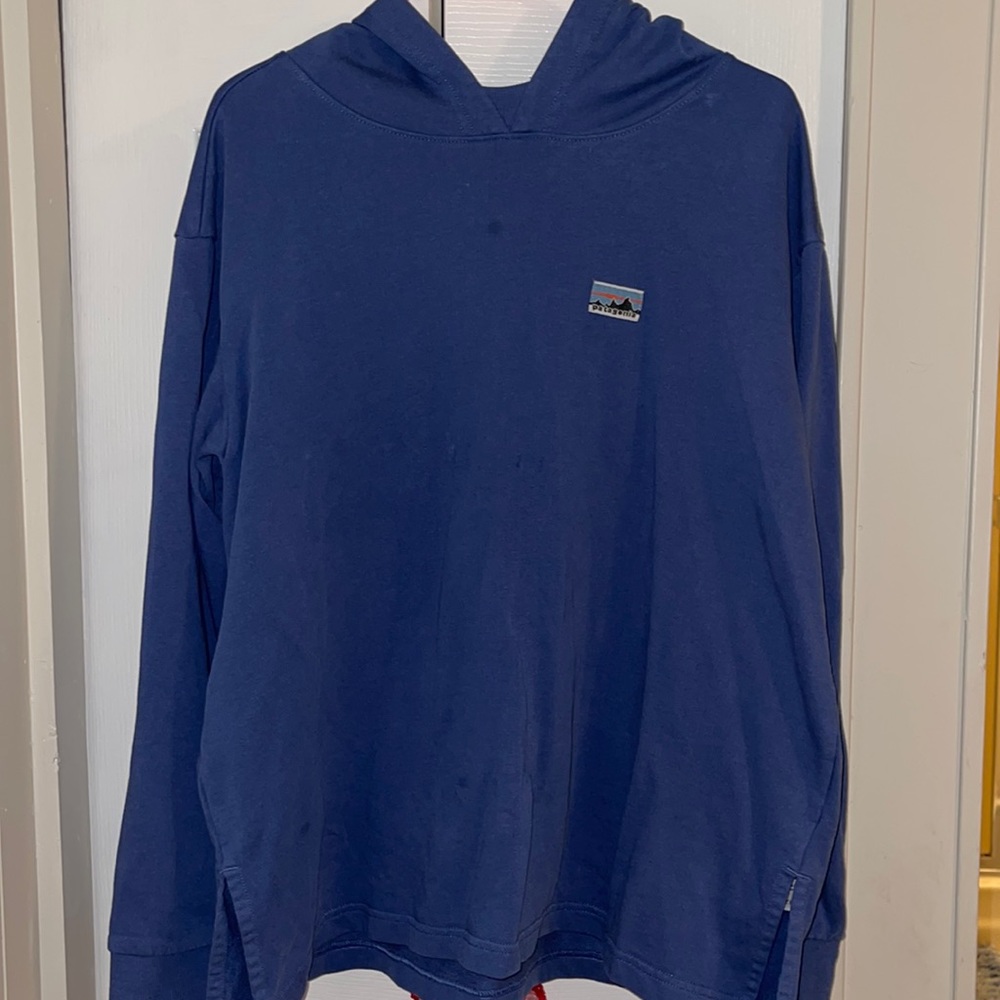 Patagonia Blue Lightweight Vintage Hoodie